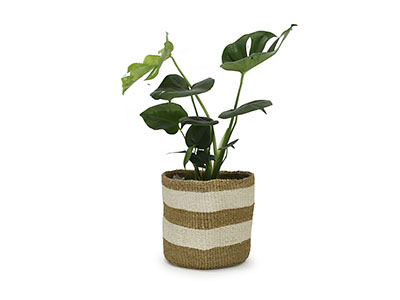 Kenyan Planter Basket - Natural #5